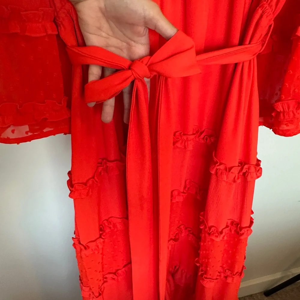 Alexis X Target Orange Ruffle Dress - Picture 9 of 12